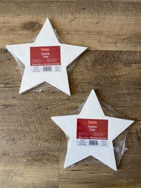 Craft Smart 10" x 10" White Star Cotton Duck Canvas Duo